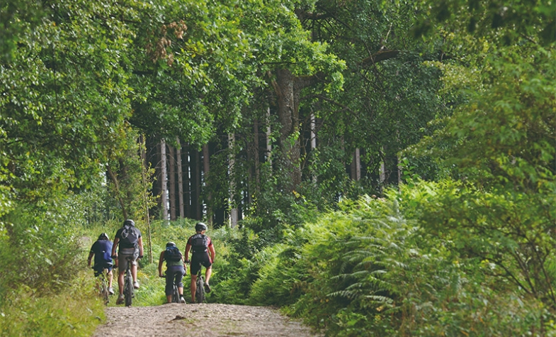 14 500 km de pistes cyclables dans un pays de 280 km de long